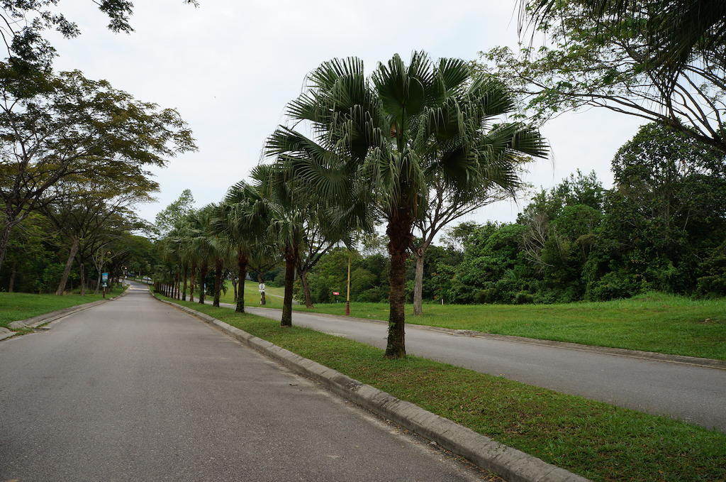 Afamosa Purple Dream Residence Condotel Homestay Malacca Luaran gambar